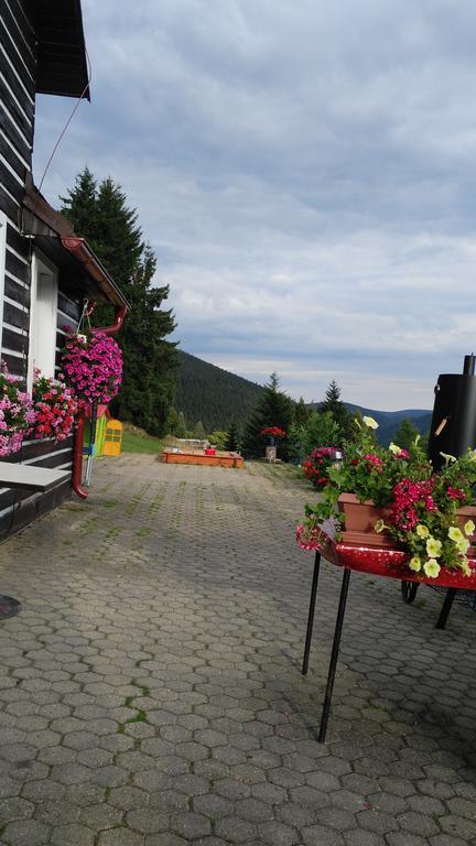 Penzion Lesni Pramen Pec pod Sněžkou Exterior foto